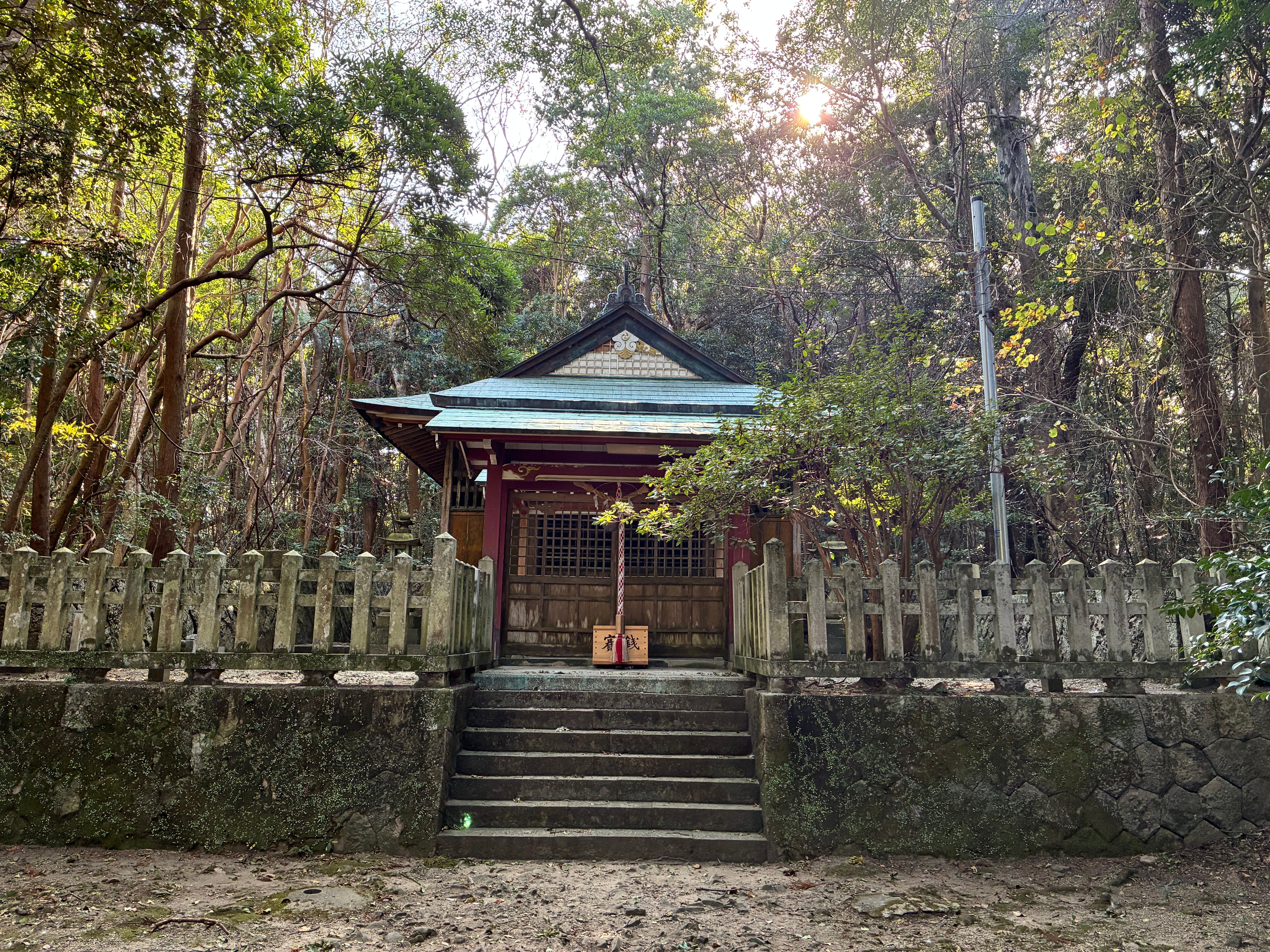 Happy New Year 2026 Year of the Horse (but on a bike)