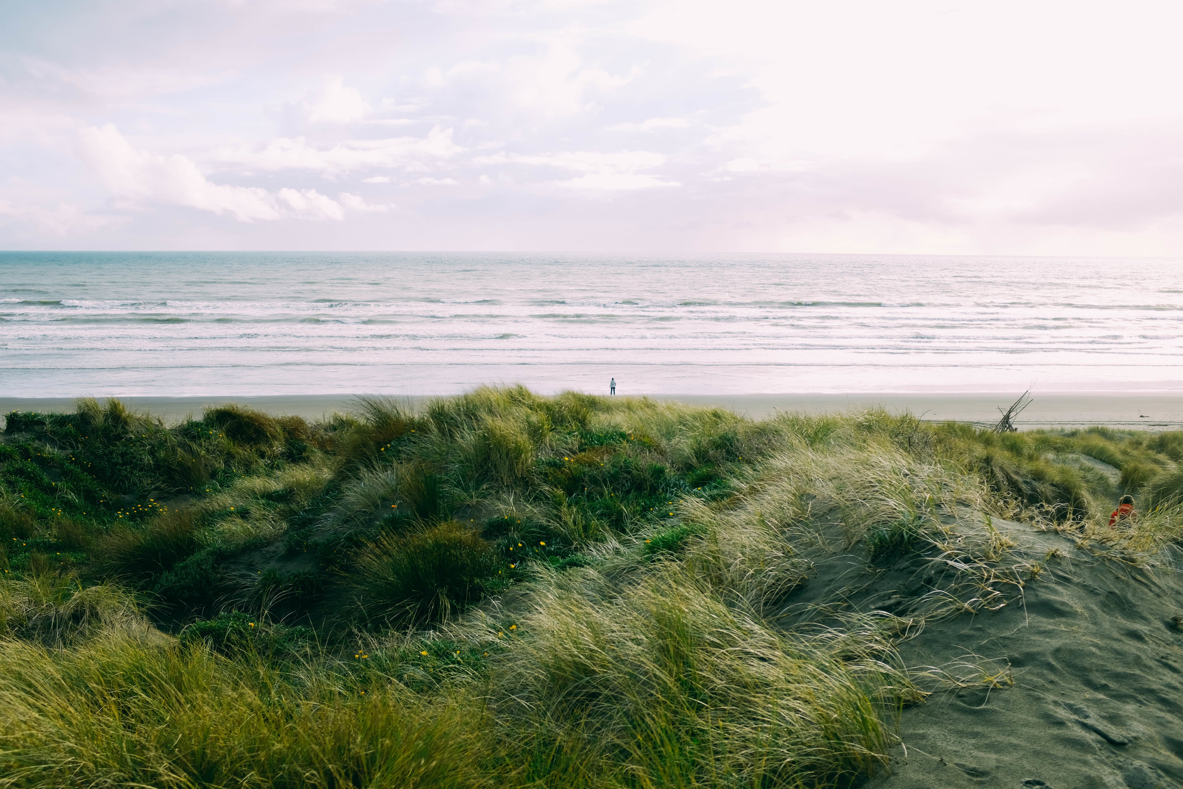 New Zealand beach where one person stands