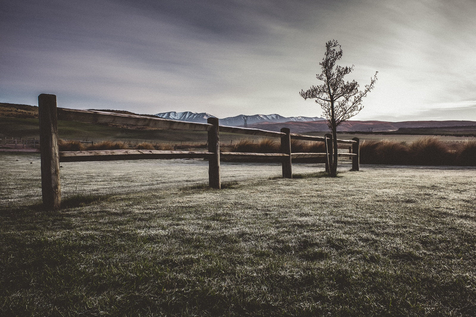 Thoughts on home and homesickness