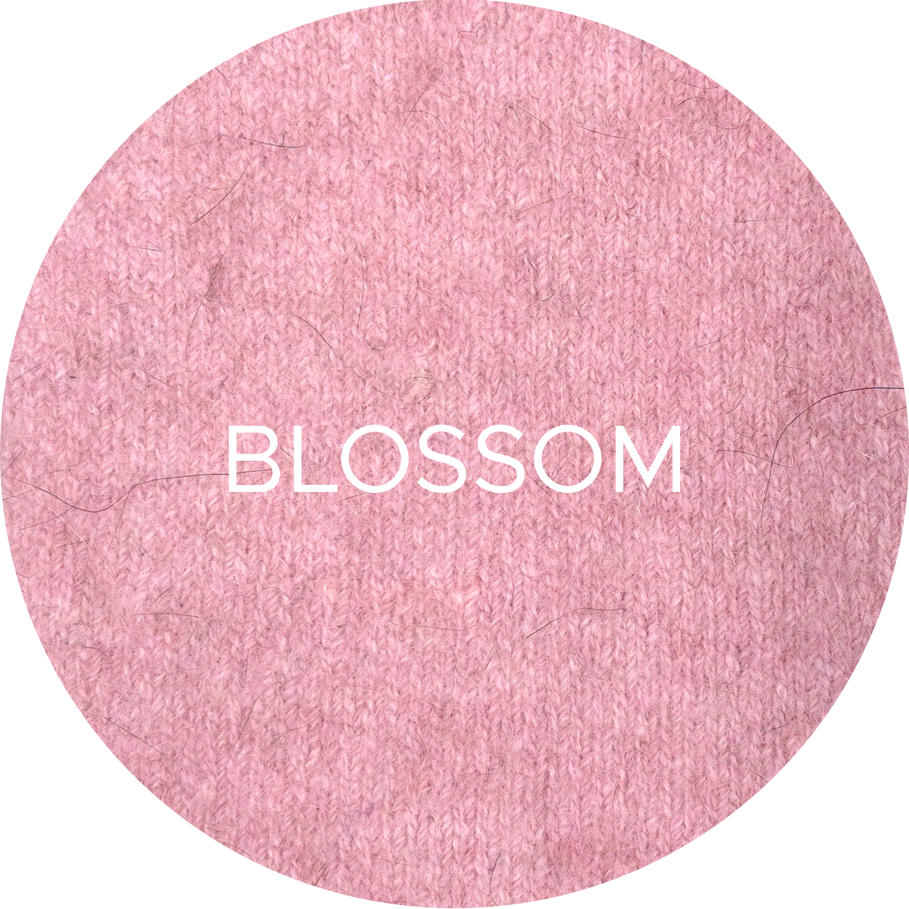 Beanie: Merino Wool + Possum, Made in New Zealand
