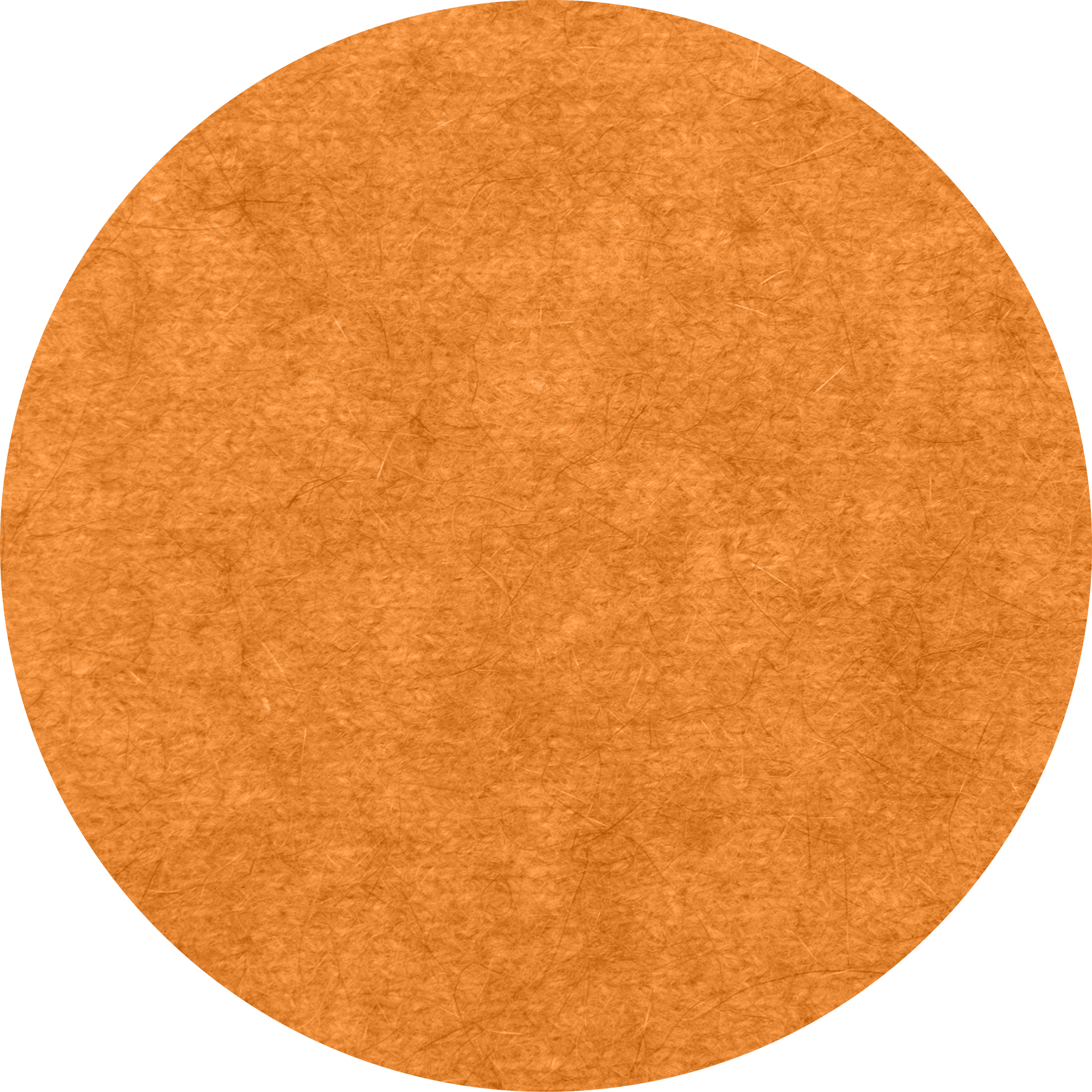 Loop Scarf: Merino Wool + Possum, Made in New Zealand (Ribbed)